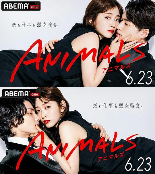 ANIMALS‐归国篇 第01集