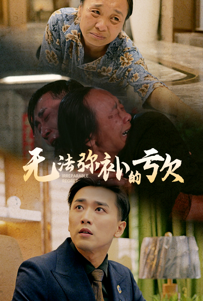 无法弥补的亏欠 全集(大结局)