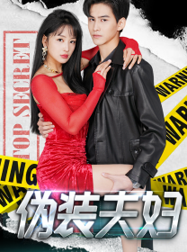 伪装夫妇 全集